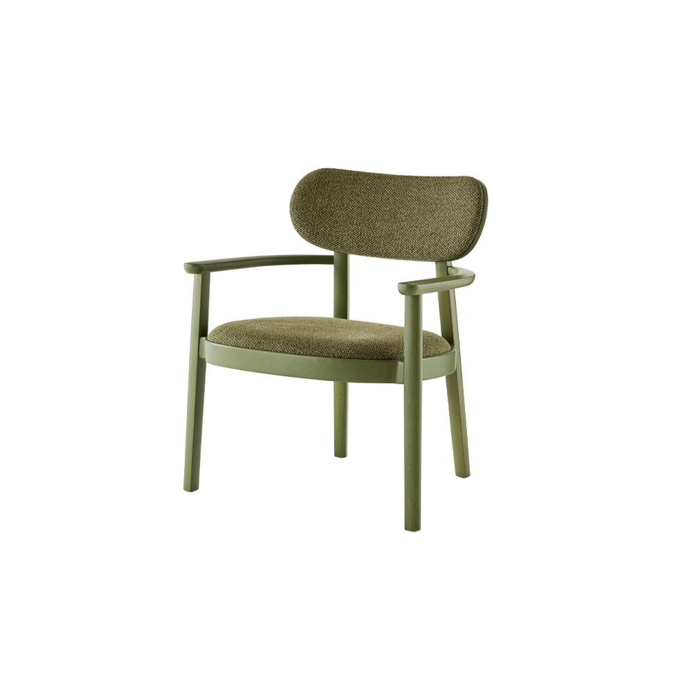 Leather Armchair With Armrests - Image 4